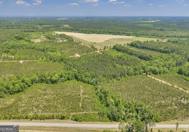 2nd image of 20 Hwy 126, Alamo, GA 30411 | MLS# 10784636