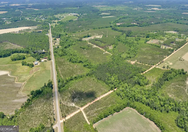 3rd image of 20 Hwy 126, Alamo, GA 30411 | MLS# 10784636