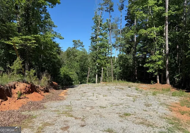 23rd image of 0 Limber Lost Trail, Cleveland, GA 30528 | MLS# 10765174