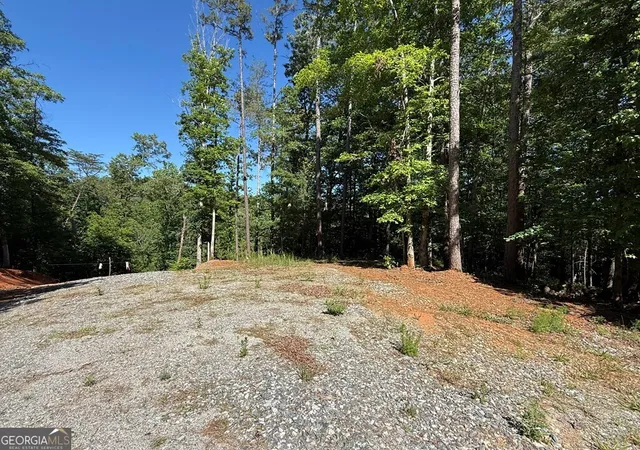 2nd image of 0 Limber Lost Trail, Cleveland, GA 30528 | MLS# 10765174