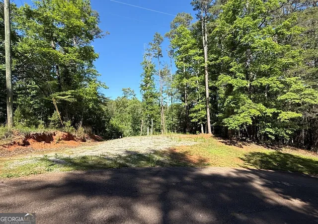 3rd image of 0 Limber Lost Trail, Cleveland, GA 30528 | MLS# 10765174