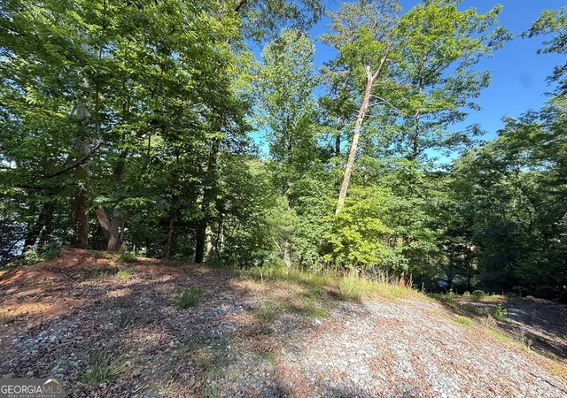 4th image of 0 Limber Lost Trail, Cleveland, GA 30528 | MLS# 10765174