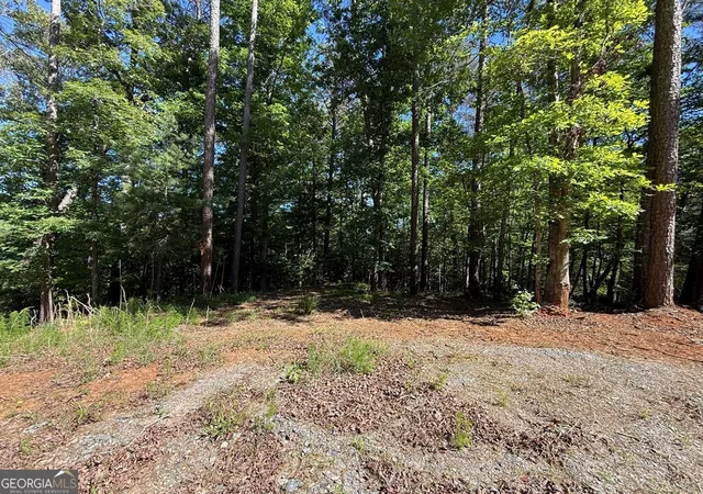 5th image of 0 Limber Lost Trail, Cleveland, GA 30528 | MLS# 10765174
