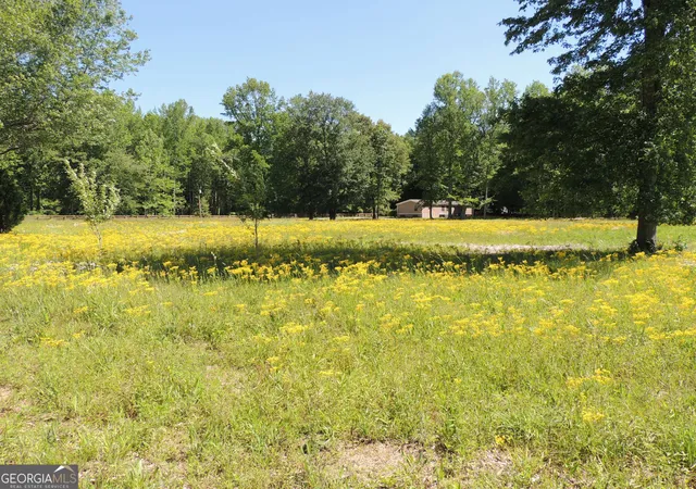 1st image of 209 Horton Rd, Dahlonega, GA 30533 | MLS# 10676784