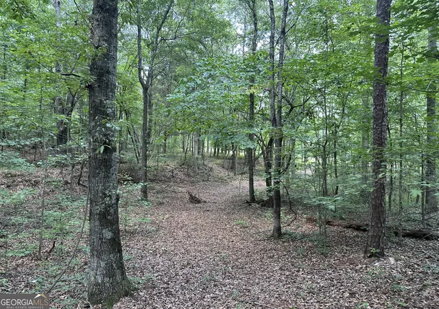 Homes for sale in Comer, GA | 2200 Duffell Martin, Comer, GA 30629 | MLS# 10800929