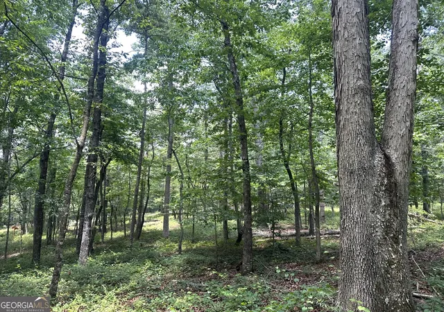 Homes for sale in Comer, GA | 2200 Duffell Martin, Comer, GA 30629 | MLS# 10800929