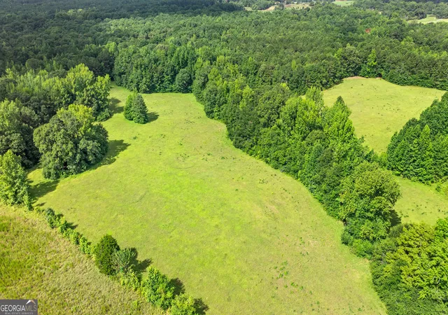 image of 0 Ray Rd, Gay, GA 30218 | MLS# 10815366