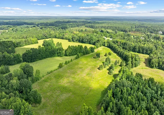 26th image of 0 Ray Rd, Gay, GA 30218 | MLS# 10815366