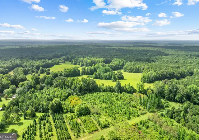 image of 0 Ray Rd, Gay, GA 30218 | MLS# 10815366