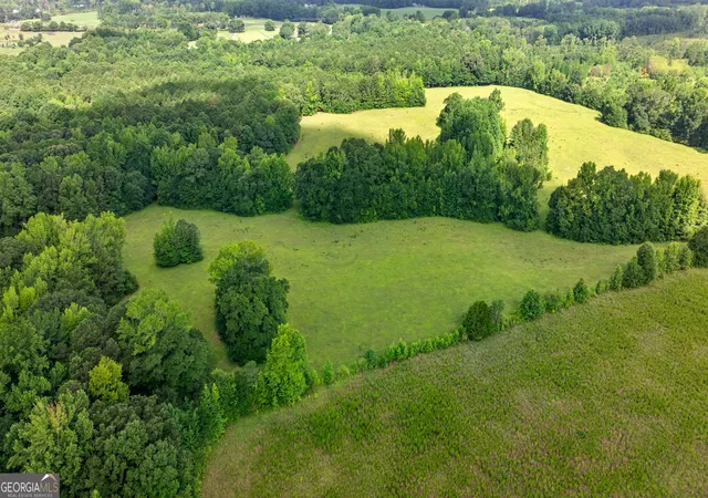 image of 0 Ray Rd, Gay, GA 30218 | MLS# 10815366