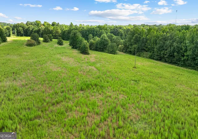 image of 0 Ray Rd, Gay, GA 30218 | MLS# 10815366