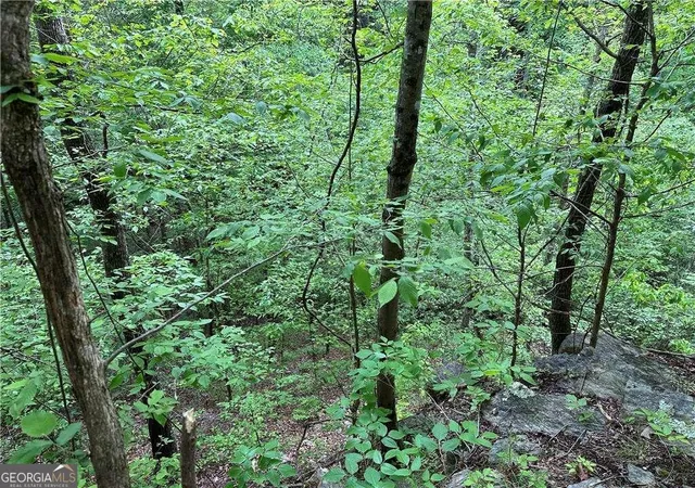 Photo 3 of Sale Pending at 0 Paris Mountain Rd, Rockmart, GA 30153 | MLS# 10295245 | Listing updated on 2026-04-20