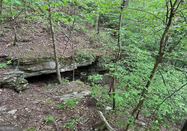 Photo 3 of Sale Pending at 0 Paris Mountain Rd, Rockmart, GA 30153 | MLS# 10295245 | Listing updated on 2026-04-20