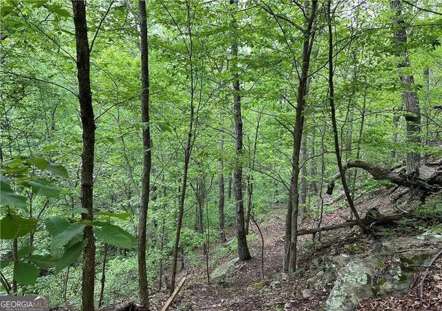 Photo 4 of Sale Pending at 0 Paris Mountain Rd, Rockmart, GA 30153 | MLS# 10295245 | Listing updated on 2026-04-20