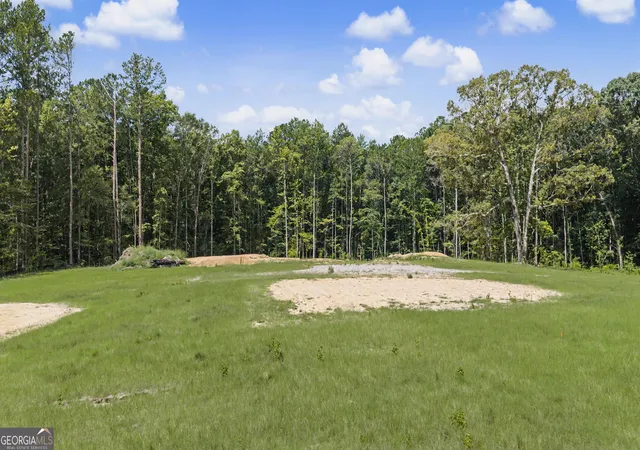Photo 19 of Land for sale at 38682 Acres Btwn 446 & 478 Rising Star Rd, Brooks, GA 30205 | MLS# 10828933 | Listing updated on 2026-09-02
