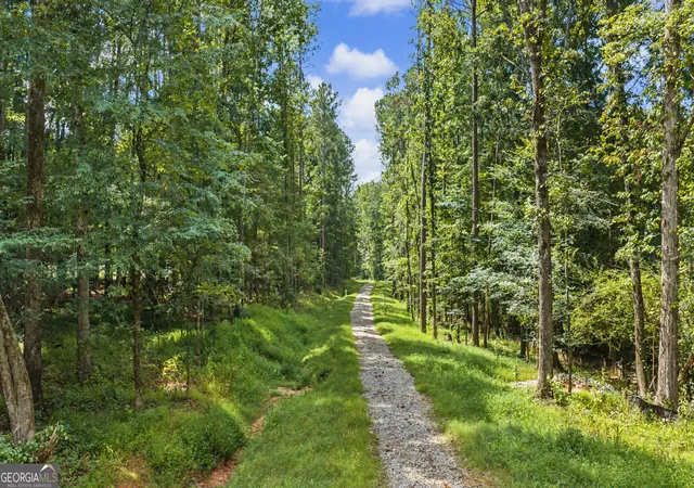 Photo 2 of Land for sale at 38682 Acres Btwn 446 & 478 Rising Star Rd, Brooks, GA 30205 | MLS# 10828933 | Listing updated on 2026-09-02