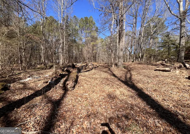 15th image of 55 Key Rd, Ellenwood, GA 30294 | MLS# 10691995