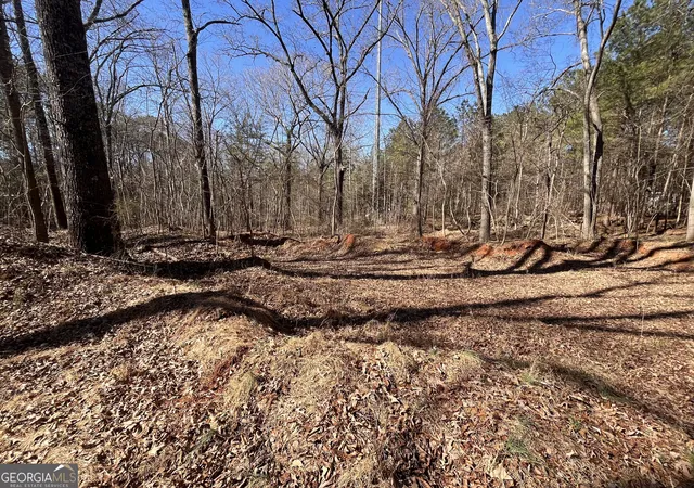 2nd image of 55 Key Rd, Ellenwood, GA 30294 | MLS# 10691995