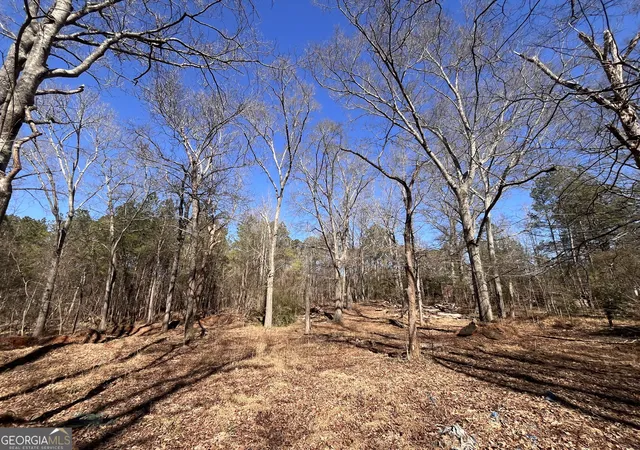 3rd image of 55 Key Rd, Ellenwood, GA 30294 | MLS# 10691995