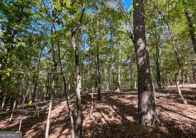 3rd image of 0 Webb Creek Road, Rome, GA 30161 | MLS# 10396121