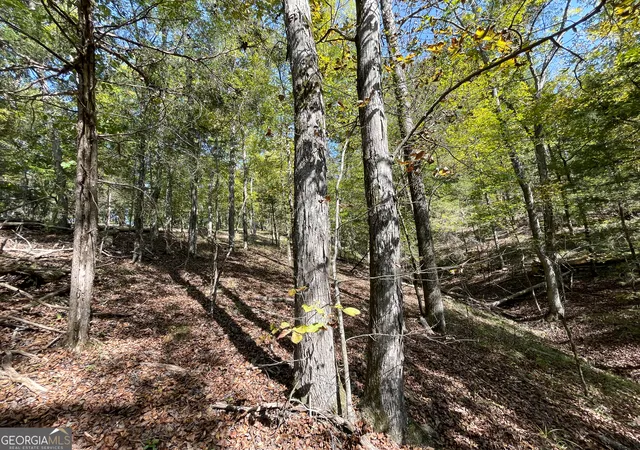 5th image of 0 Webb Creek Road, Rome, GA 30161 | MLS# 10396121