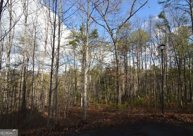 Photo 3 of Land for sale at Lot 26 Coosa Bnd, Blairsville, GA 30512 | MLS# 8574440 | Listing updated on 2026-04-26