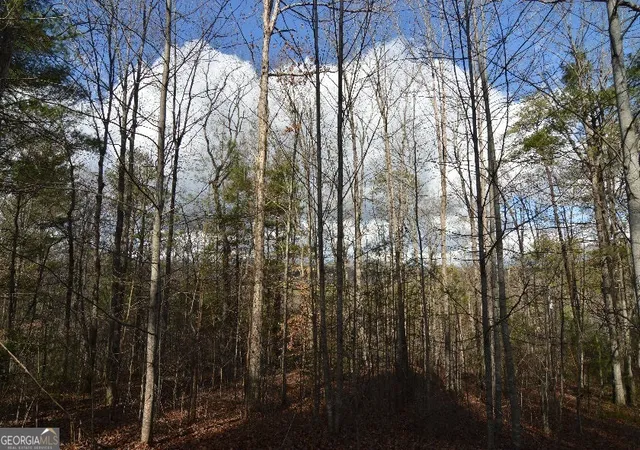 Photo 4 of Land for sale at Lot 26 Coosa Bnd, Blairsville, GA 30512 | MLS# 8574440 | Listing updated on 2026-04-26