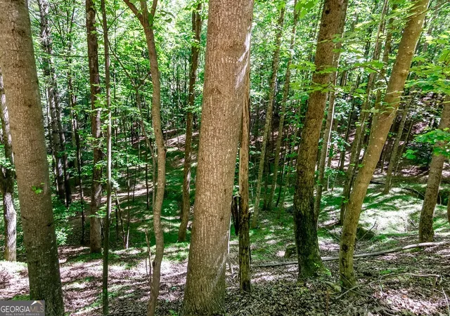 Homes for sale in Ellijay, GA | Lot 26 Estates Dr, Ellijay, GA 30540 | MLS# 10768430