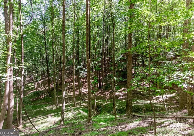 Homes for sale in Ellijay, GA | Lot 26 Estates Dr, Ellijay, GA 30540 | MLS# 10768430