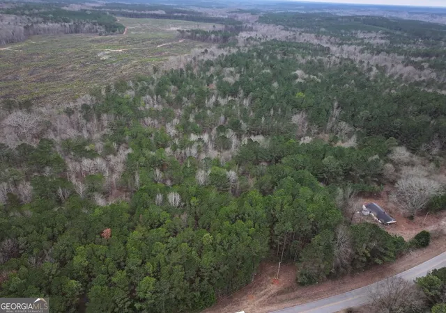 Homes for sale in Franklin, GA | 0 Victory Rd #LOT 3, Franklin, GA 30217 | MLS# 10787132