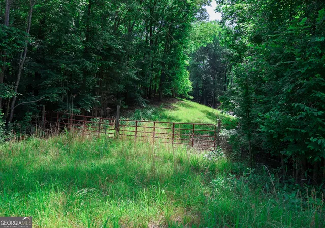 Photo 3 of Land for sale at 0 Hwy 330, Athens, GA 30607 | MLS# 10299917 | Listing updated on 2026-08-17