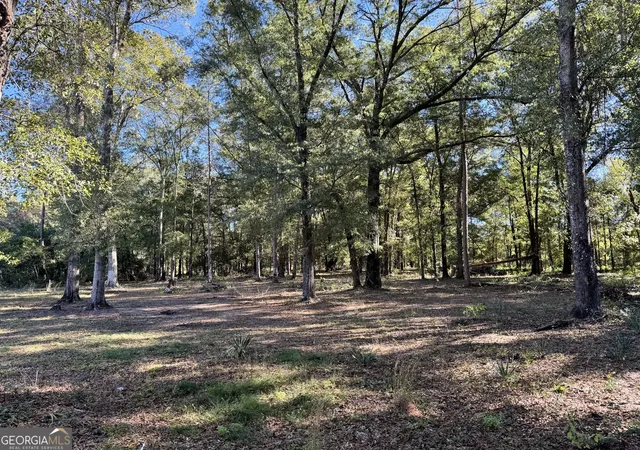 Photo 3 of Manufactured home for sale at 443 Fire Station Rd, Vienna, GA 31092 | MLS# 10800054 | Listing updated on 2026-07-20
