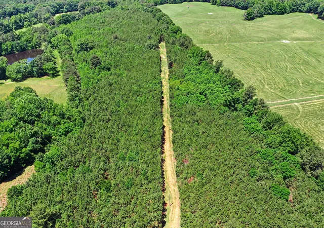 2nd image of X0x0 Court Ground Rd, Washington, GA 30673 | MLS# 10775270