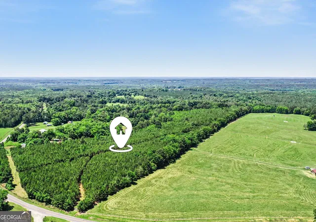 4th image of X0X0 Court Ground Rd, Washington, GA 30673 | MLS# 10775270