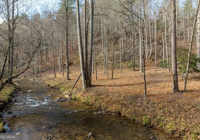 Photo 1 of Land for sale at 780 Banks Rd, Ellijay, GA 30540 | MLS# 10879303 | Listing updated on 2026-10-29