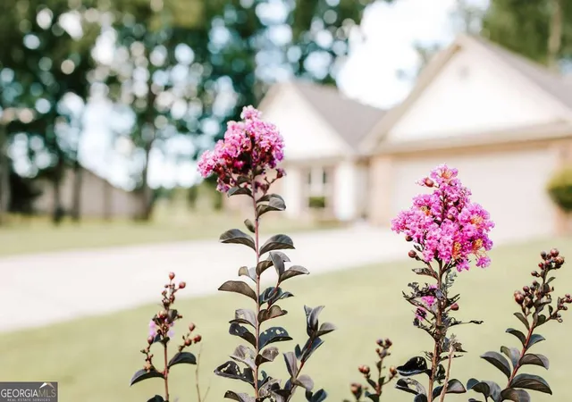 Photo 2 of Sale Pending at 296 Highlands Dr, Winterville, GA 30683 | MLS# 10819871 | Listing updated on 2026-08-17