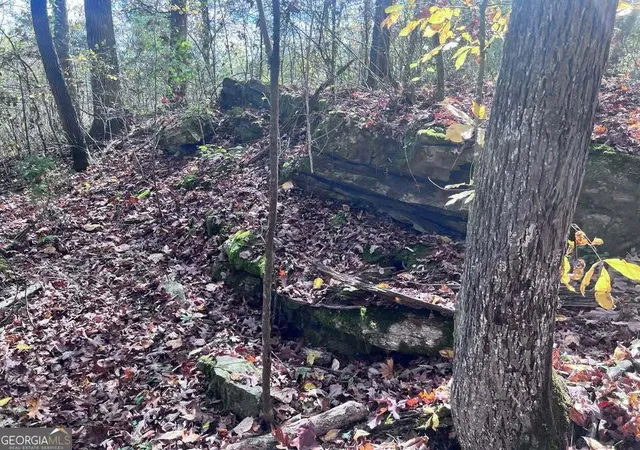 Photo 3 of Land for sale at 1759 Beaverdale Rd Ne, Dalton, GA 30721 | MLS# 10459845 | Listing updated on 2026-02-09