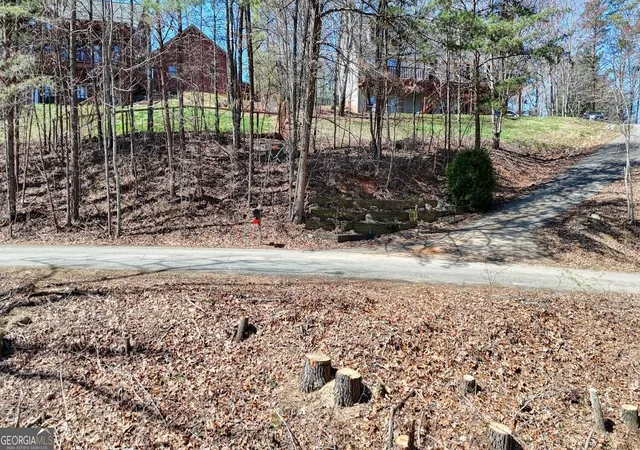 14th image of Lot 10 Firefly Ridge, Blairsville, GA 30512 | MLS# 10823415
