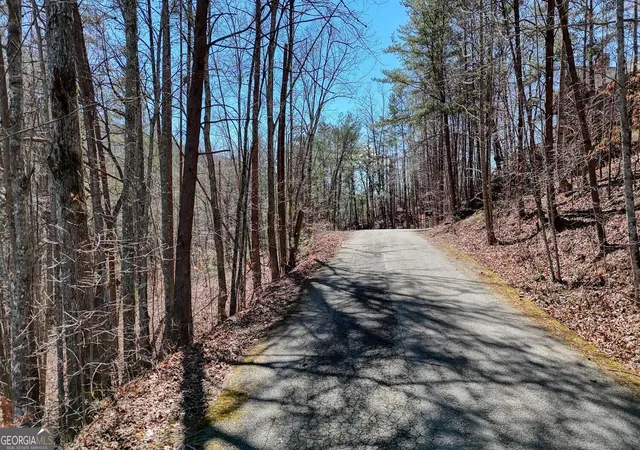 2nd image of Lot 10 Firefly Ridge, Blairsville, GA 30512 | MLS# 10823415