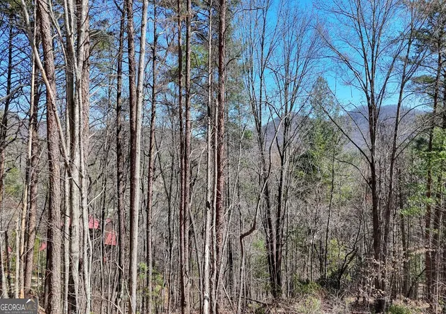 3rd image of Lot 10 Firefly Ridge, Blairsville, GA 30512 | MLS# 10823415