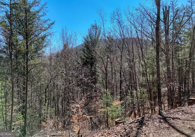 4th image of Lot 10 Firefly Ridge, Blairsville, GA 30512 | MLS# 10823415