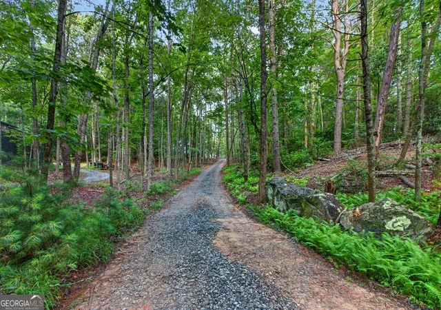 45th image of Lot 3c Stanley Creek Road, Cherry Log, GA 30522 | MLS# 10805263