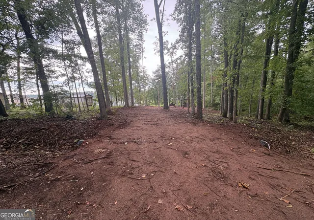 3rd image of Lot 92 Sycamore Dr, Sparta, GA 31087 | MLS# 10820929