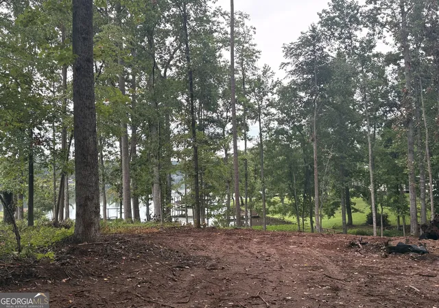 4th image of Lot 92 Sycamore Dr, Sparta, GA 31087 | MLS# 10820929