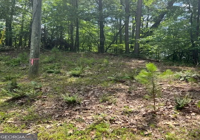 Photo 3 of Land for sale at 133 Adair Dr Ne, Ranger, GA 30734 | MLS# 10537912 | Listing updated on 2026-06-05