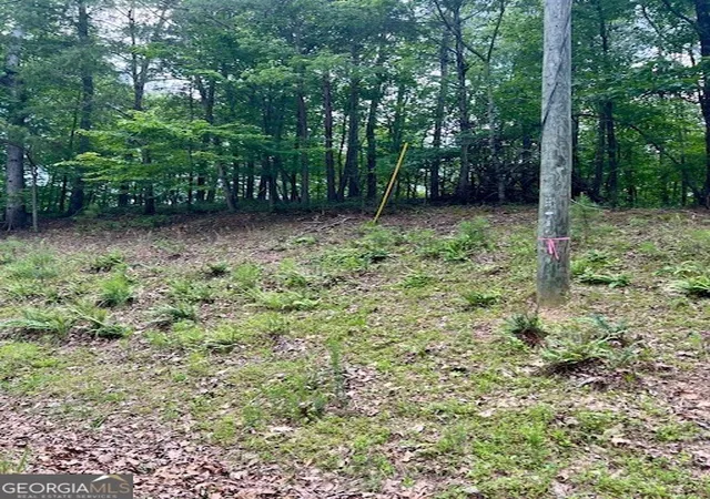 Photo 3 of Land for sale at 133 Adair Dr NE, Ranger, GA 30734 | MLS# 10537912 | Listing updated on 2026-06-05