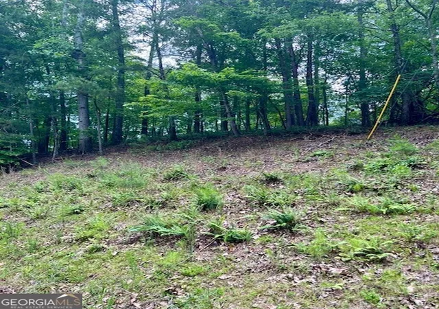 Photo 4 of Land for sale at 133 Adair Dr NE, Ranger, GA 30734 | MLS# 10537912 | Listing updated on 2026-06-05