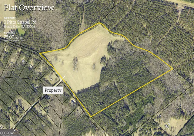 2nd image of 0 Pitts Chapel Rd, Monticello, GA 31064 | MLS# 10766086