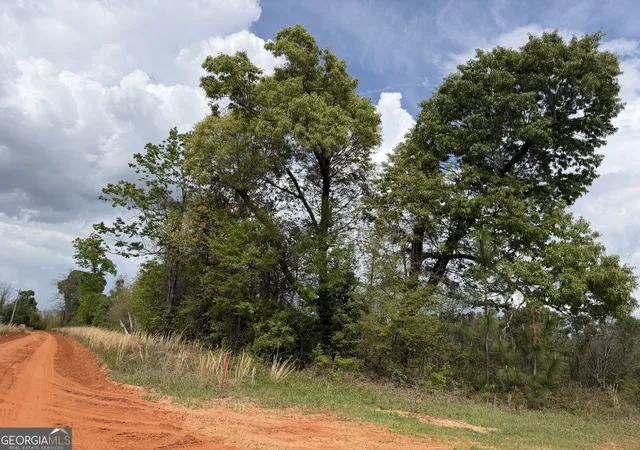Homes for sale in Lumpkin, GA | 09 Barge Rd, Lumpkin, GA 31815 | MLS# 10778944