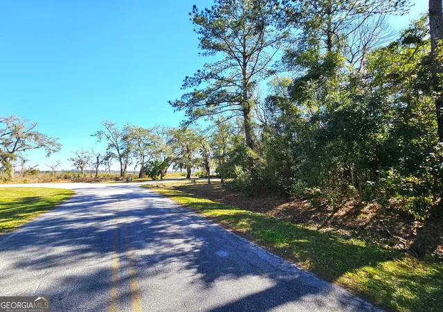 Homes for sale in Kingsland, GA | 0 Bristol Hammock Cir, Kingsland, GA 31548 | MLS# 10770767